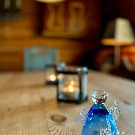 Cozy Log In In Out And Sauna Holiday home *