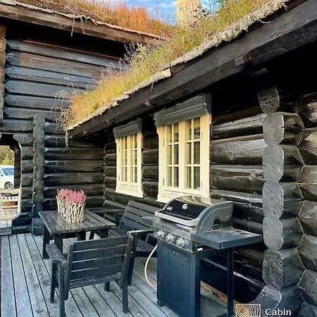 Vakantiehuis Log In With In Out, Sauna And View