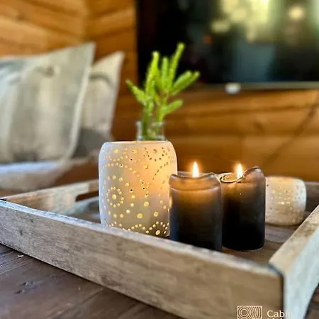 Holiday home Cozy Log In In Out And Sauna *