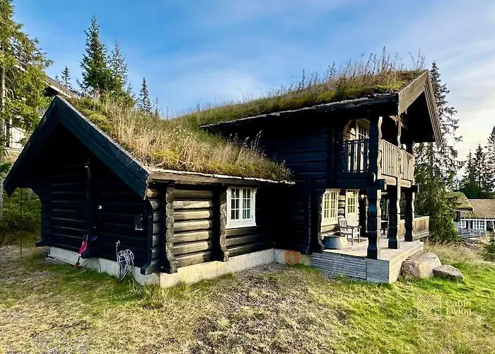 Log In With In Out, Sauna And View Hafjell