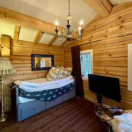 Cozy Log In In Out And Sauna Feriehus